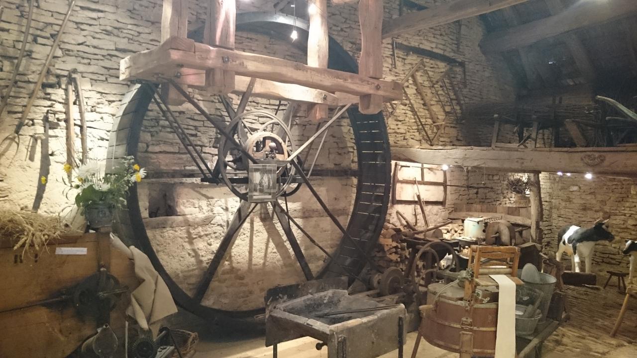 Roue à chiens musée 